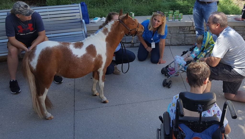 AppleJack, a miniature therapy horse, visiting Mercy Kids on the plaza.
