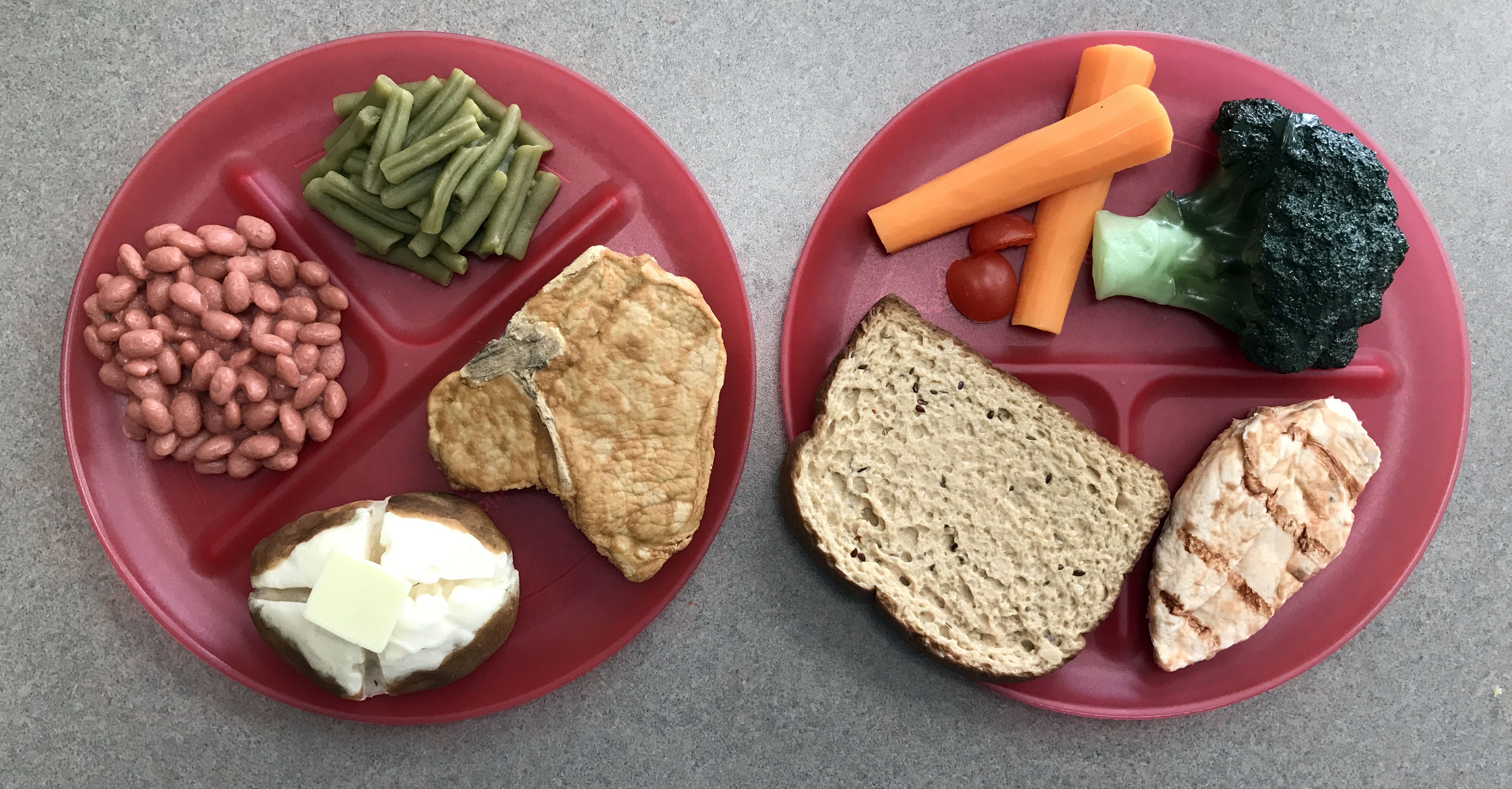 Healthy Food Plate Model